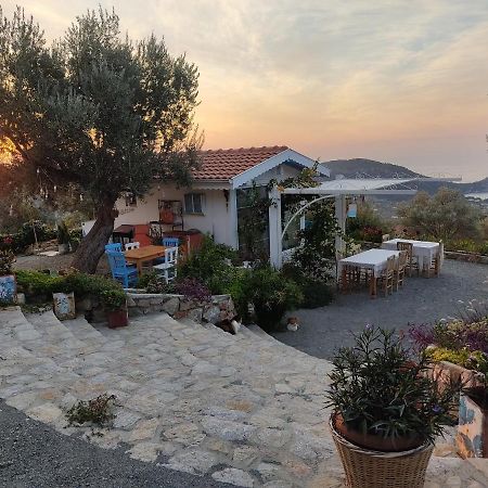 Mavi Kelebek Datca Hotel Buitenkant foto