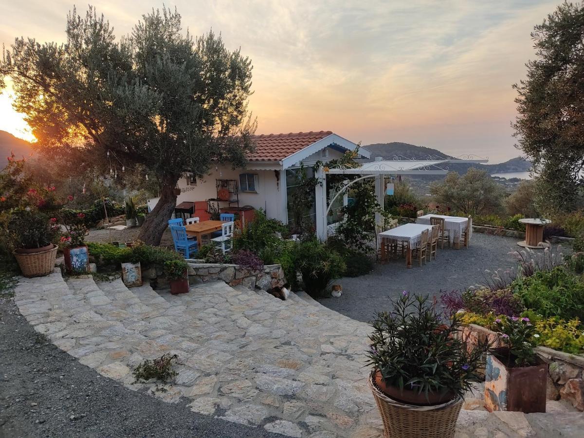 Mavi Kelebek Datca Hotel Buitenkant foto