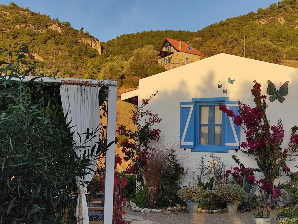Mavi Kelebek Datca Hotel Buitenkant foto