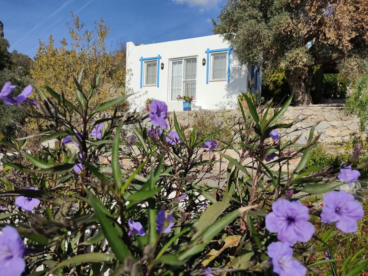 Mavi Kelebek Datca Hotel Buitenkant foto