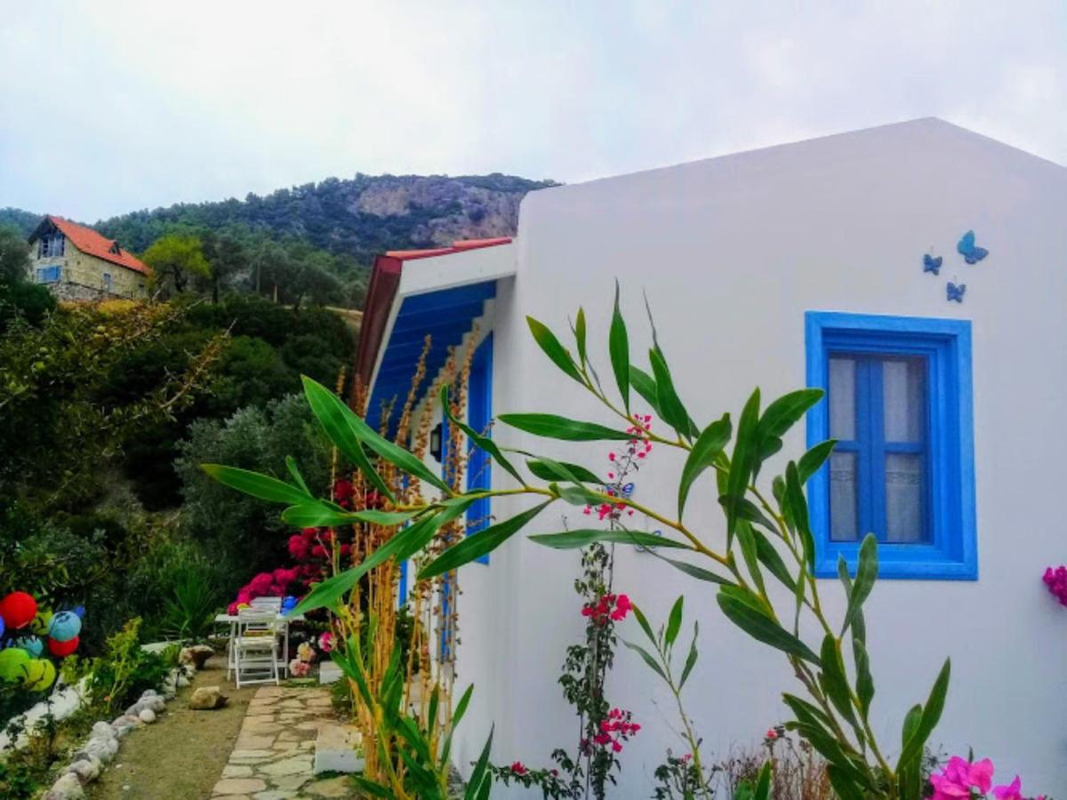 Mavi Kelebek Datca Hotel Buitenkant foto