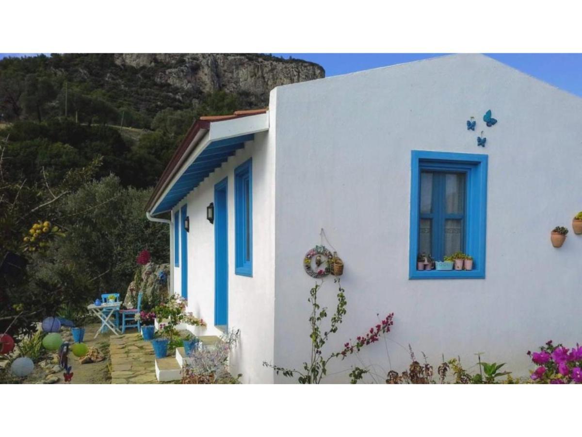 Mavi Kelebek Datca Hotel Buitenkant foto