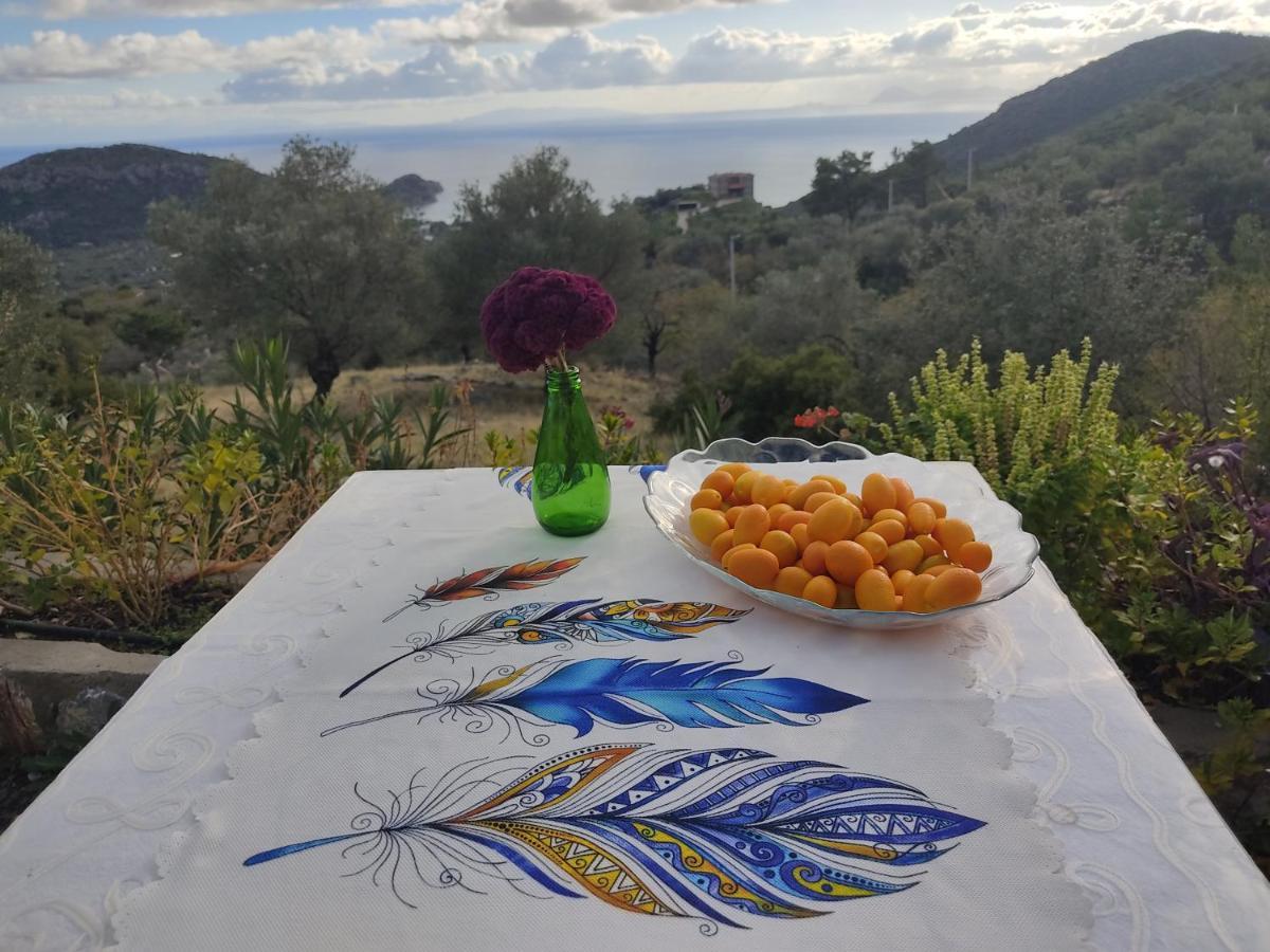Mavi Kelebek Datca Hotel Buitenkant foto