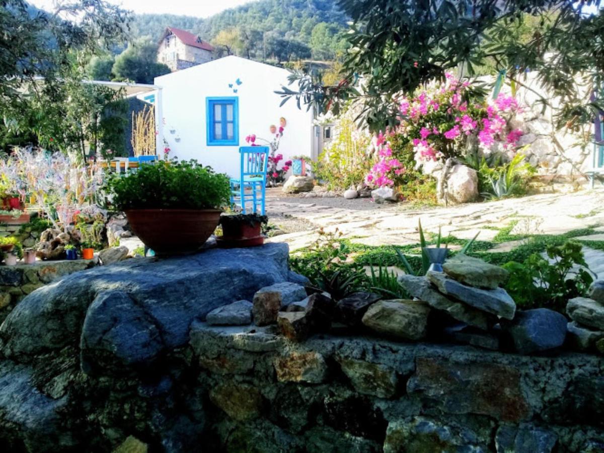 Mavi Kelebek Datca Hotel Buitenkant foto