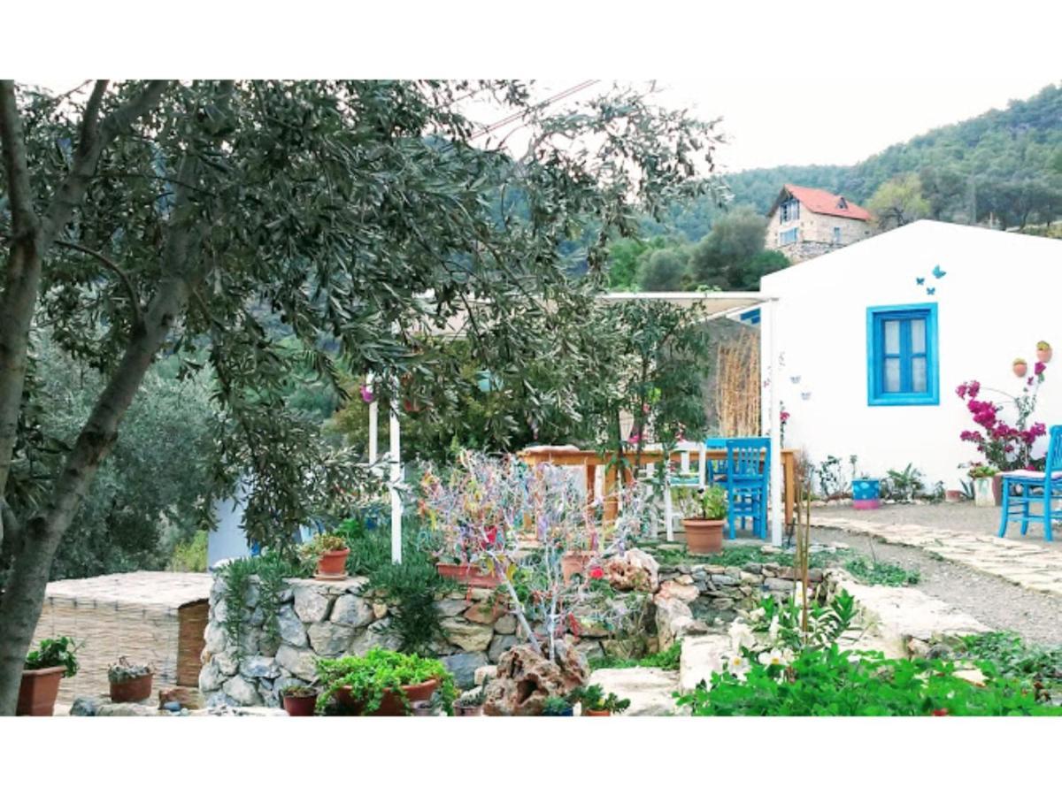 Mavi Kelebek Datca Hotel Buitenkant foto