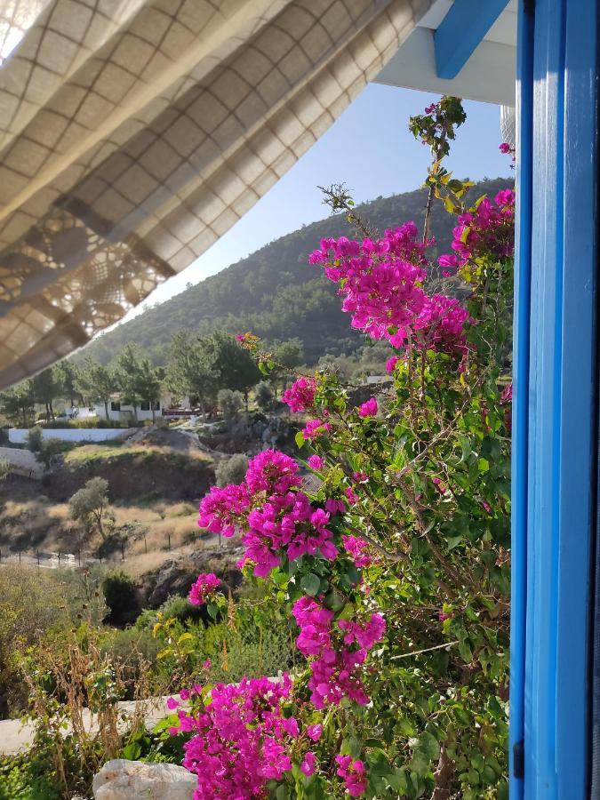Mavi Kelebek Datca Hotel Buitenkant foto
